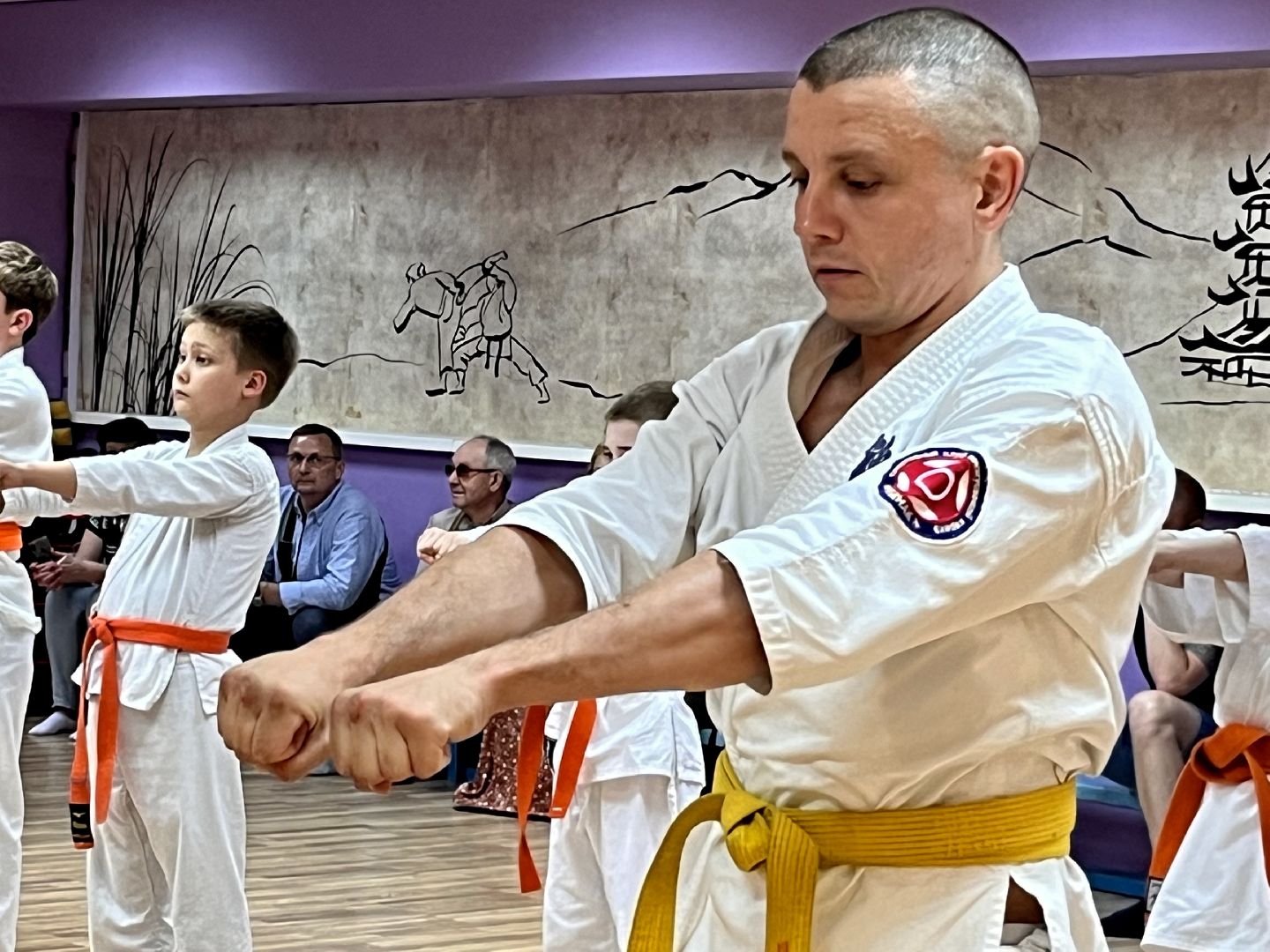 Наро-Фоминск, каратэ, помощь депутата, благотворительность, Наро-Фоминский городской округ