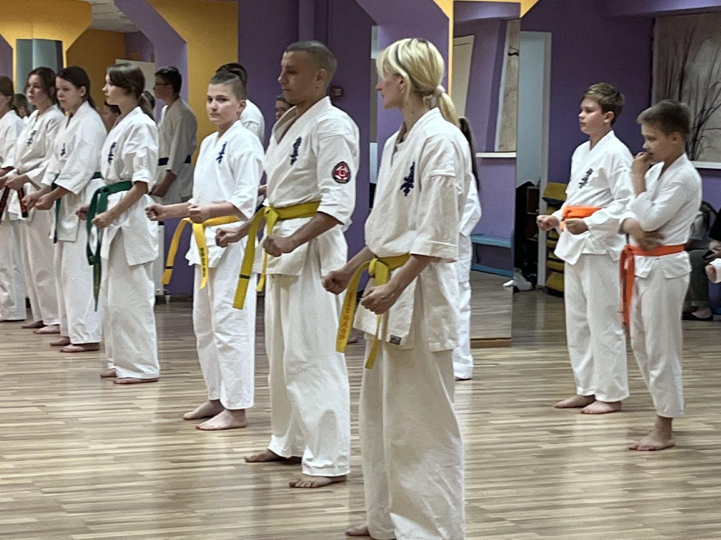 Наро-Фоминск, каратэ, помощь депутата, благотворительность, Наро-Фоминский городской округ