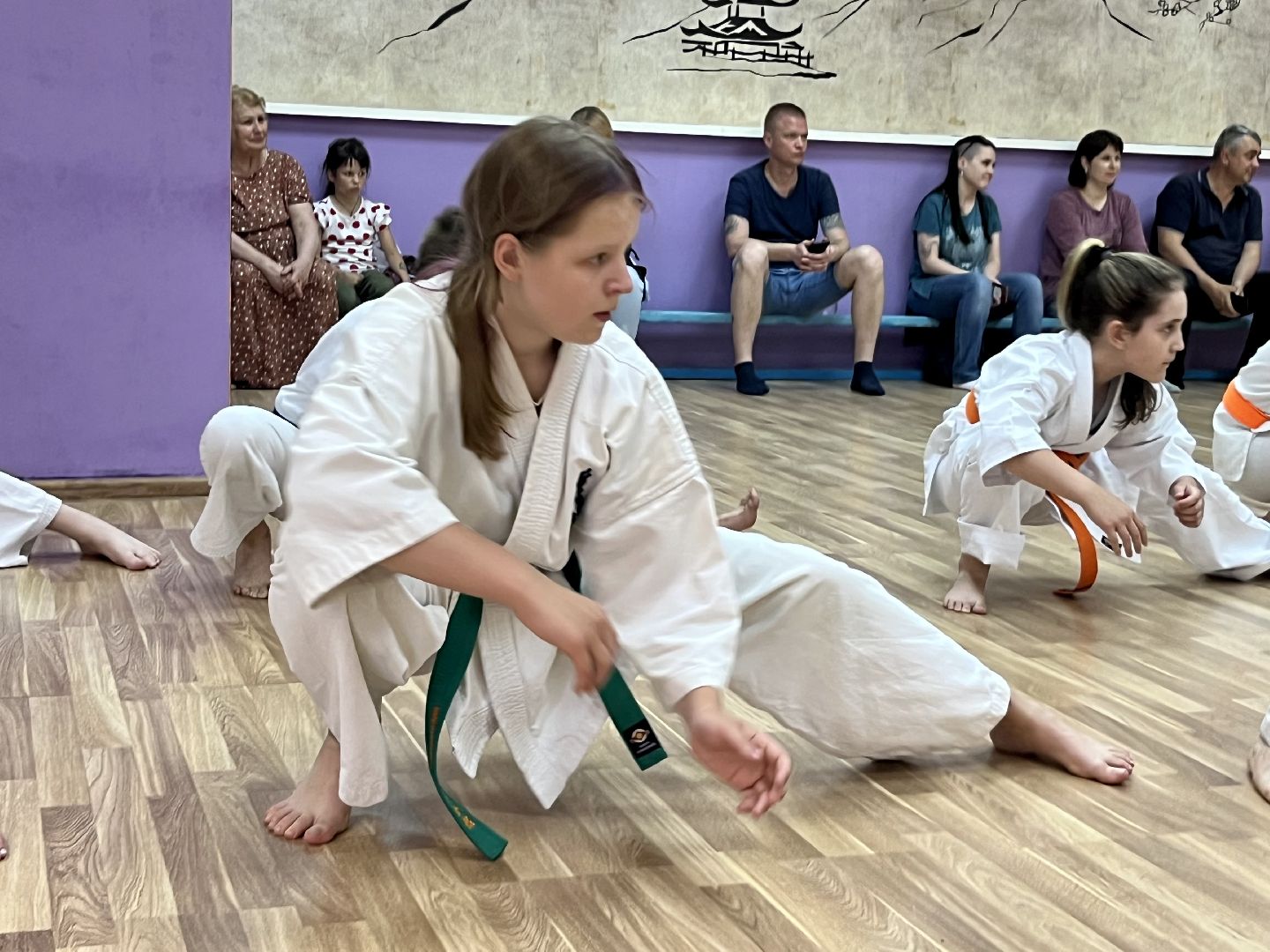 Наро-Фоминск, каратэ, помощь депутата, благотворительность, Наро-Фоминский городской округ