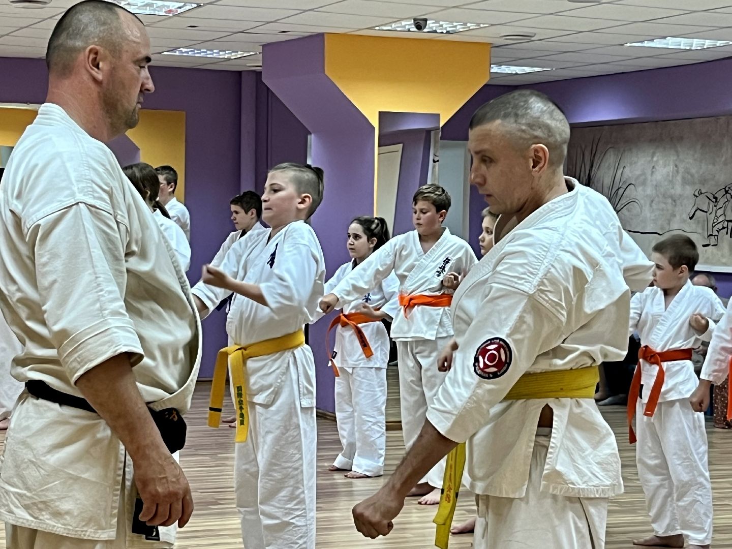Наро-Фоминск, каратэ, помощь депутата, благотворительность, Наро-Фоминский городской округ