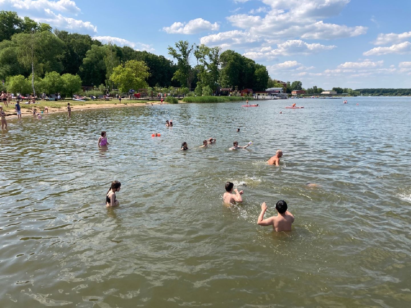 Солнечногорск, Сенеж, отдых, пляж, лето