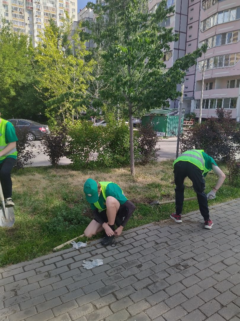 Долгопрудный, благоустройство, ЖКХ, озеленение, ЛТО, трудоустройство, подростки