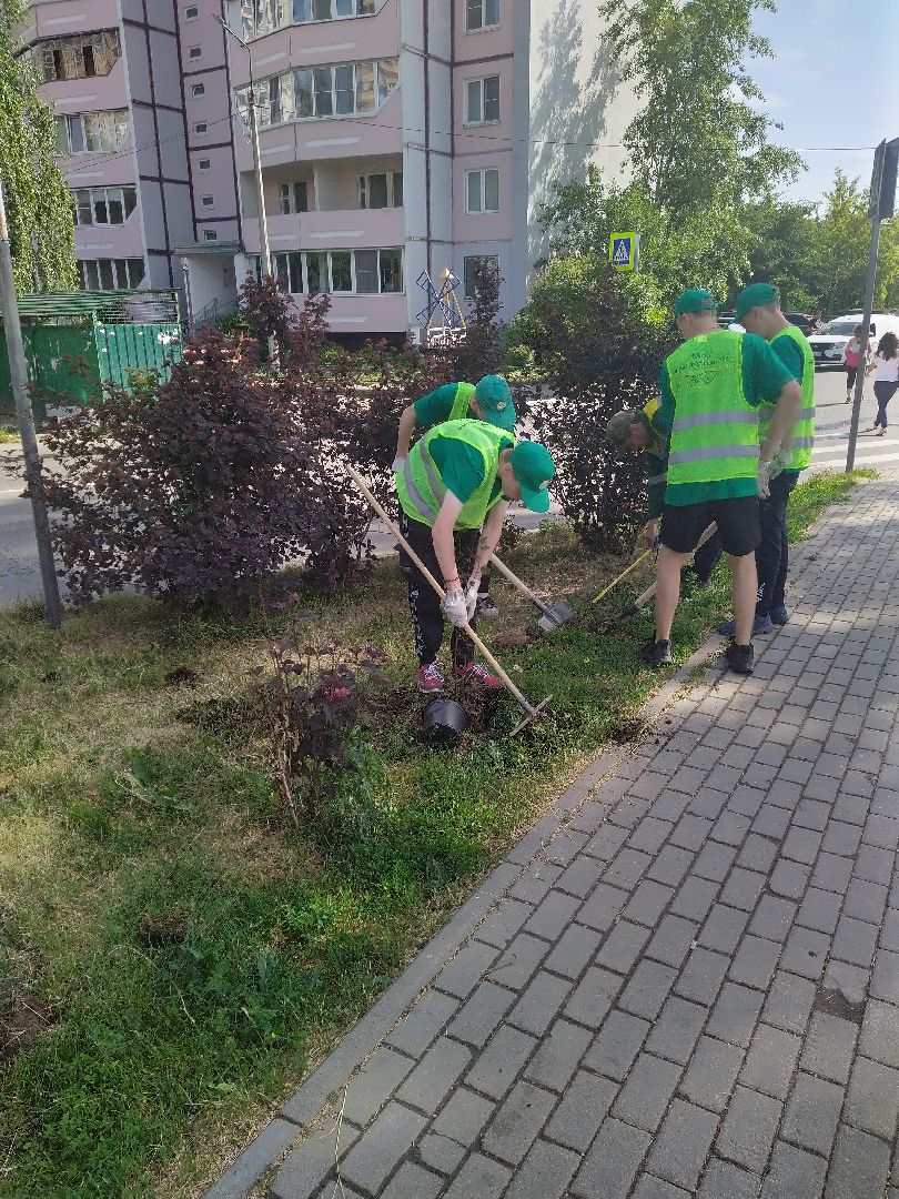 Долгопрудный, благоустройство, ЖКХ, озеленение, ЛТО, трудоустройство, подростки