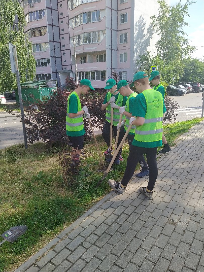 Долгопрудный, благоустройство, ЖКХ, озеленение, ЛТО, трудоустройство, подростки