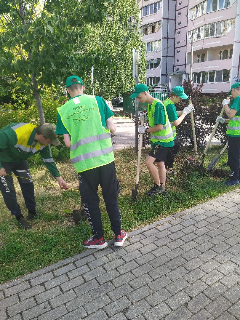 Долгопрудный, благоустройство, ЖКХ, озеленение, ЛТО, трудоустройство, подростки