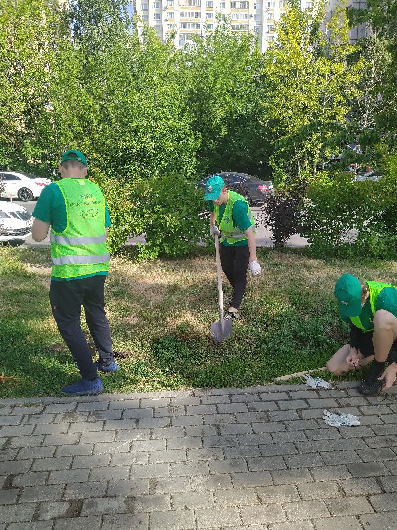 Долгопрудный, благоустройство, ЖКХ, озеленение, ЛТО, трудоустройство, подростки