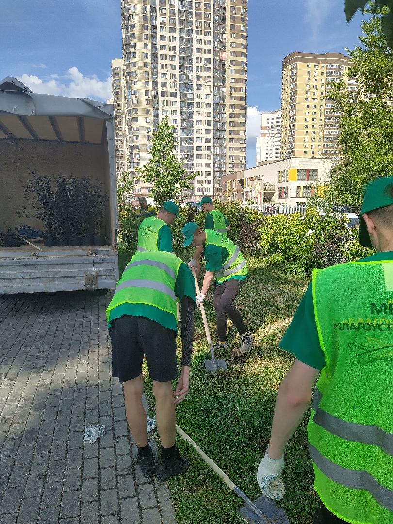 Долгопрудный, благоустройство, ЖКХ, озеленение, ЛТО, трудоустройство, подростки