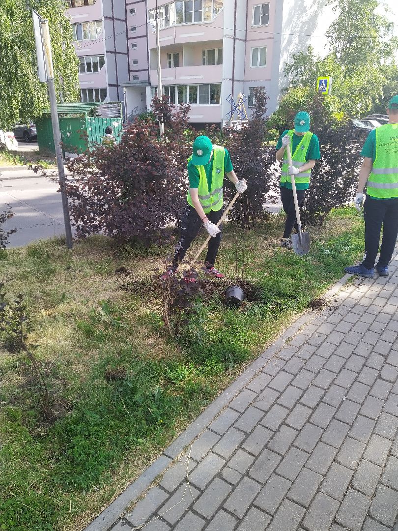 Долгопрудный, благоустройство, ЖКХ, озеленение, ЛТО, трудоустройство, подростки