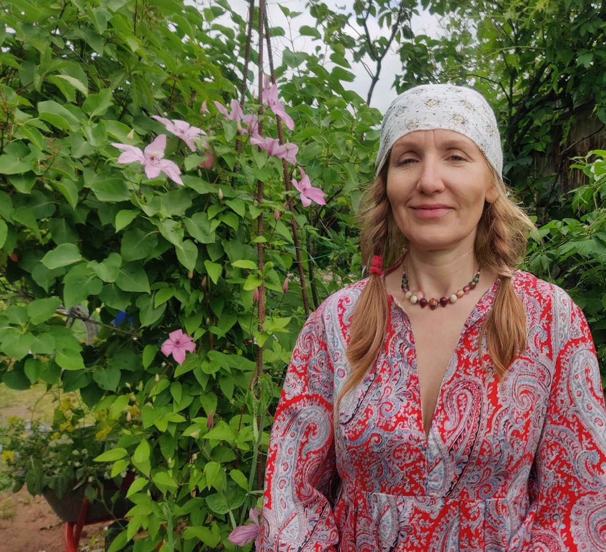 Красноармейск, Пушкинский, дача, клубника