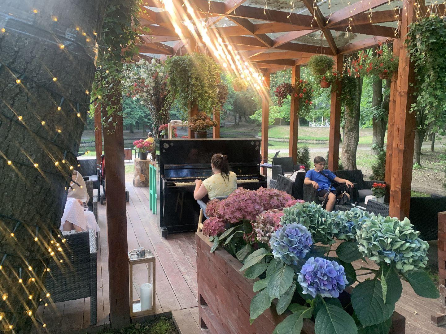 Музыка, пианино, дело жизни, Городской парк, лето в подмосковье,