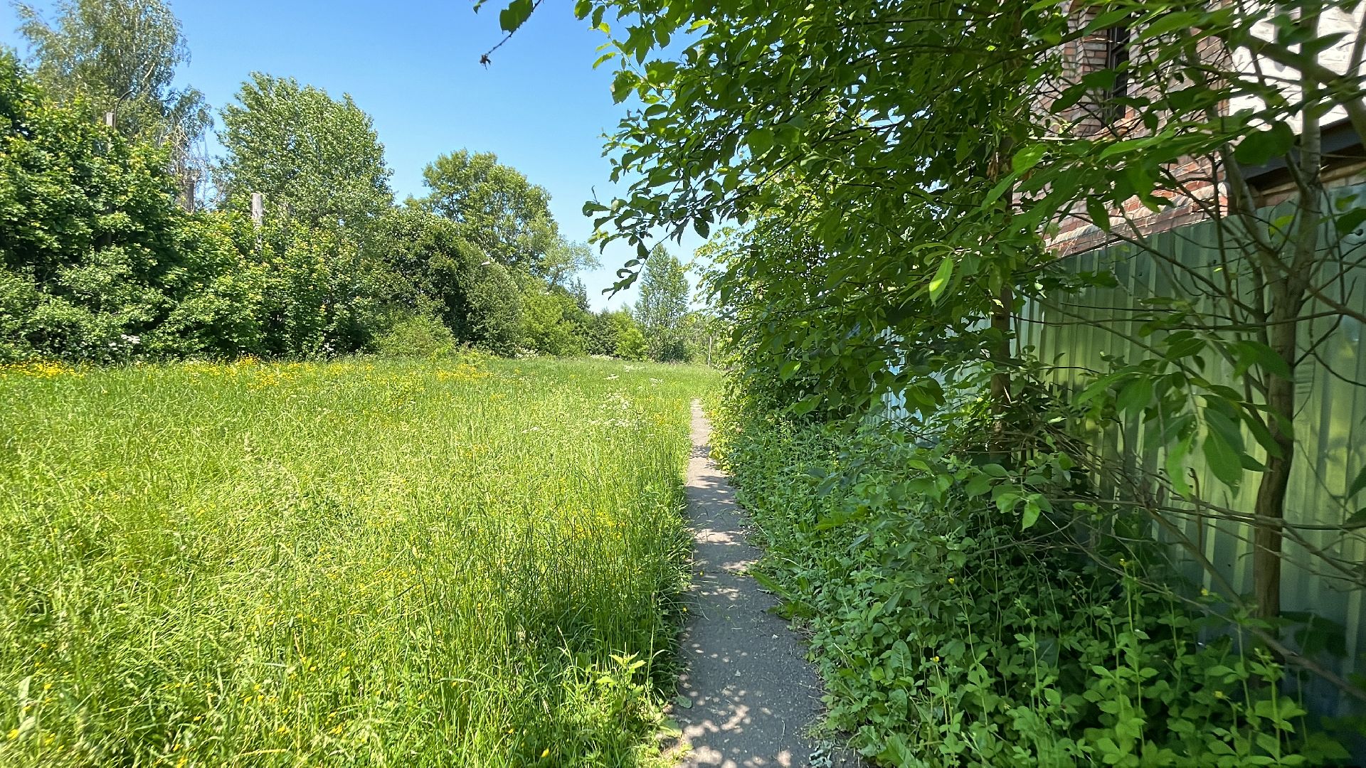 Голицыно, благоустройство, голосование, Добродел,
