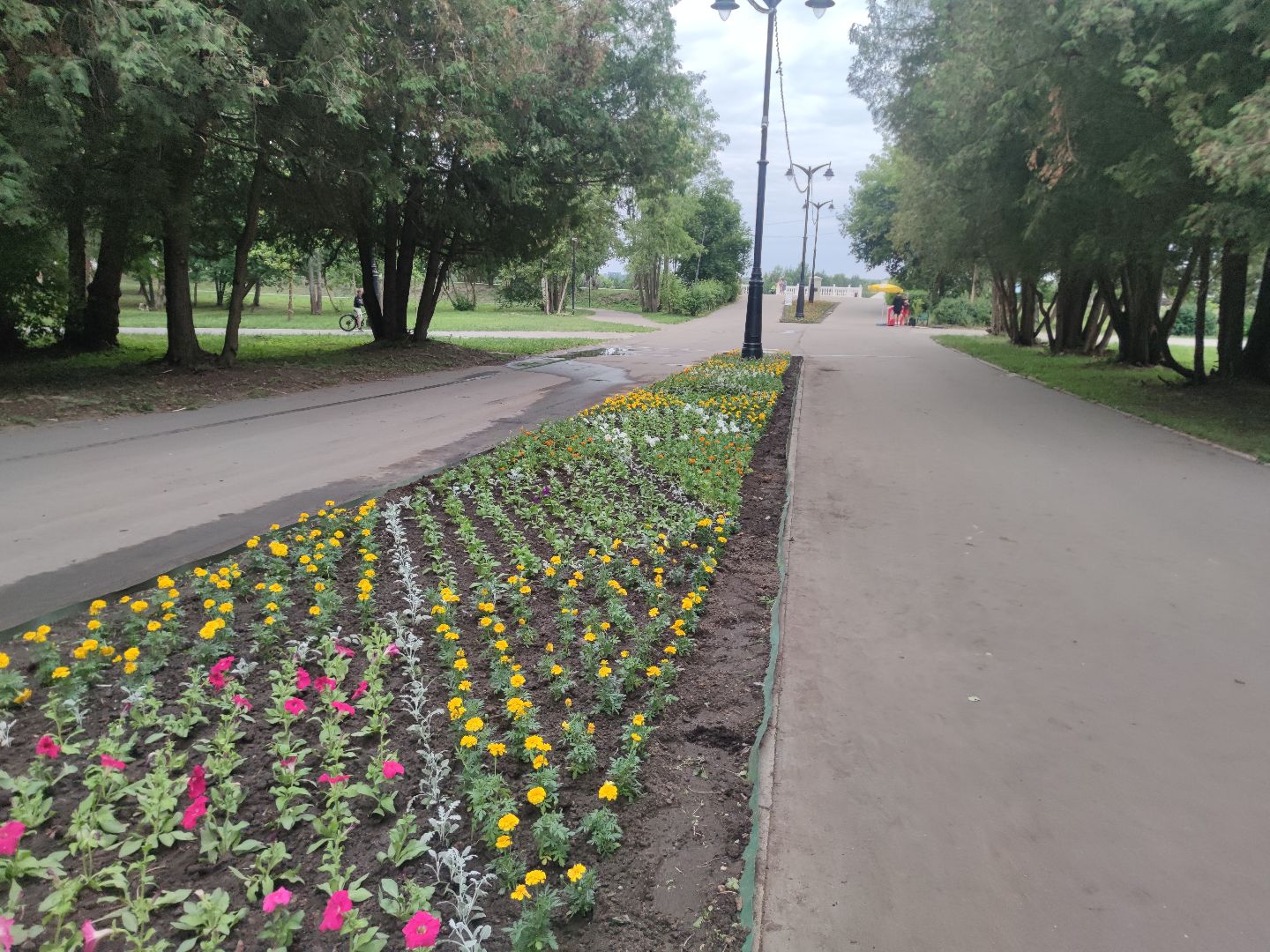 Клумба, цветы, благоустройство, Дубна