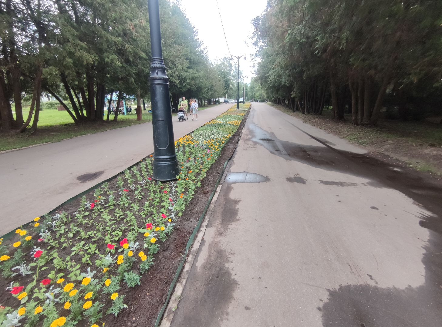 Клумба, цветы, благоустройство, Дубна