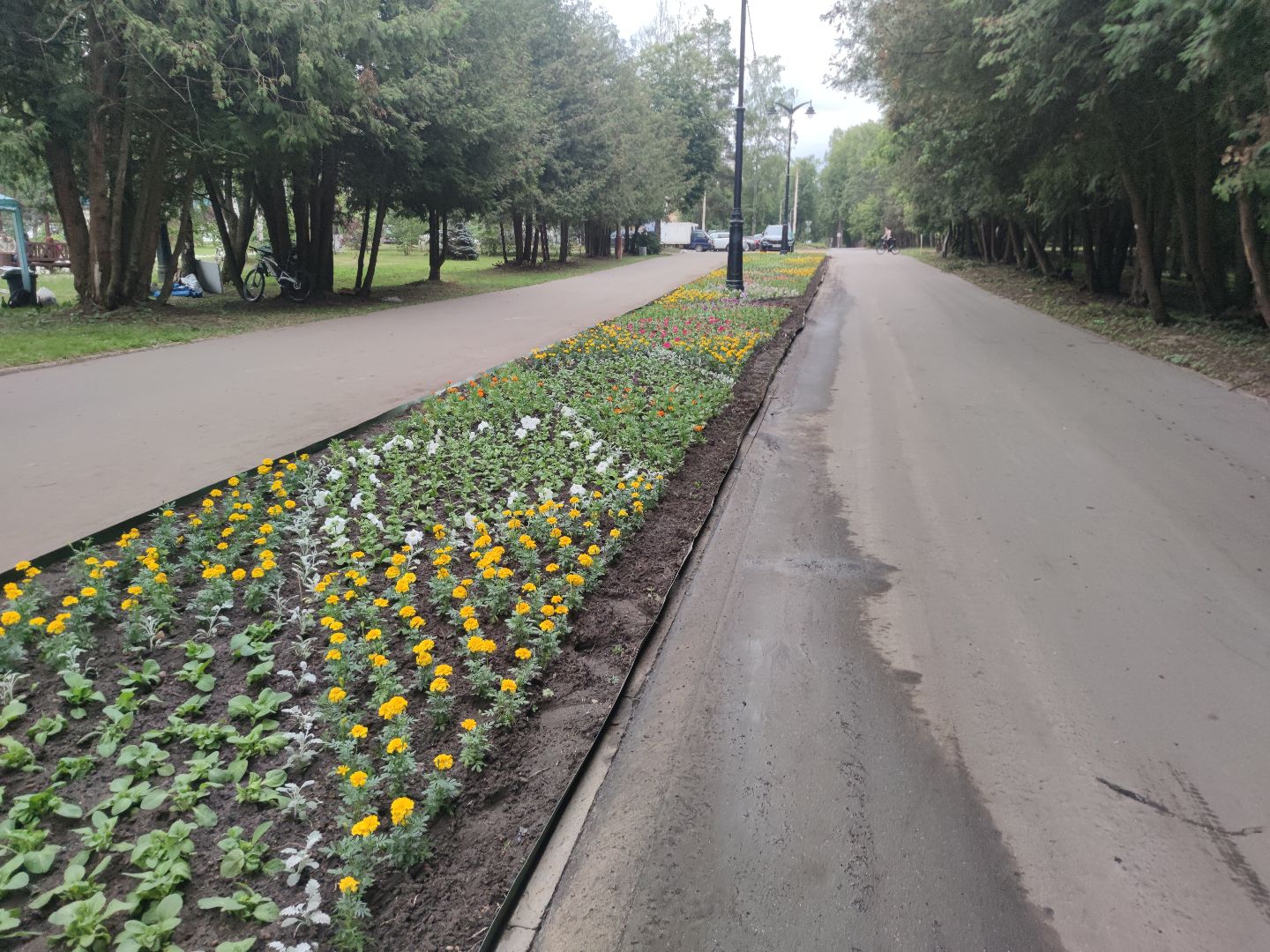 Клумба, цветы, благоустройство, Дубна