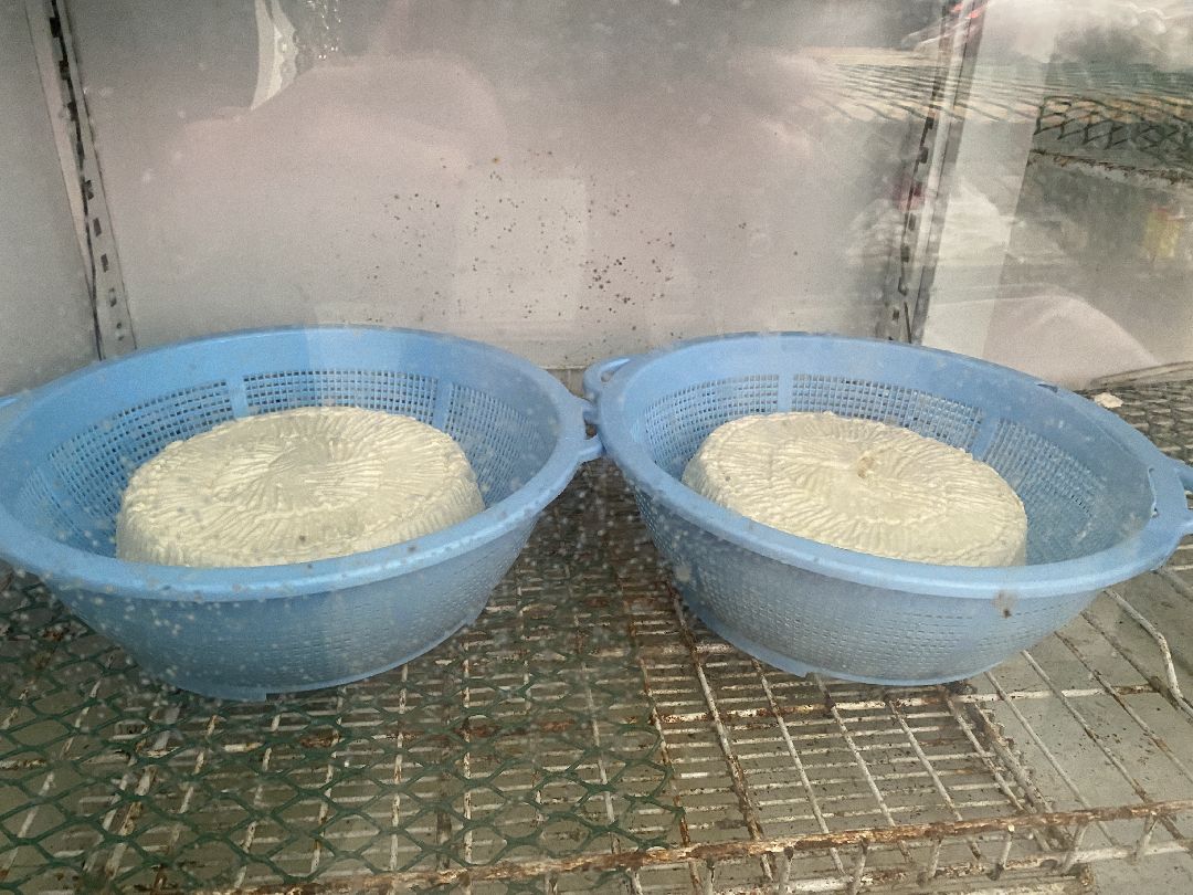 Сыр, хозяйство, молоко, ферма, Чехов