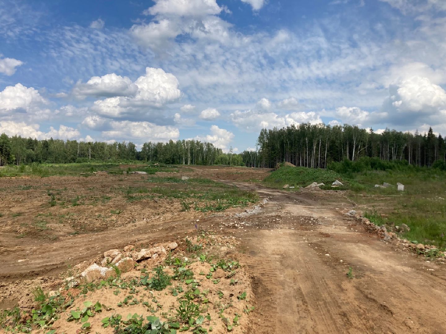 Солнечногорск, экономика, производство, фармацевтика, Есипово