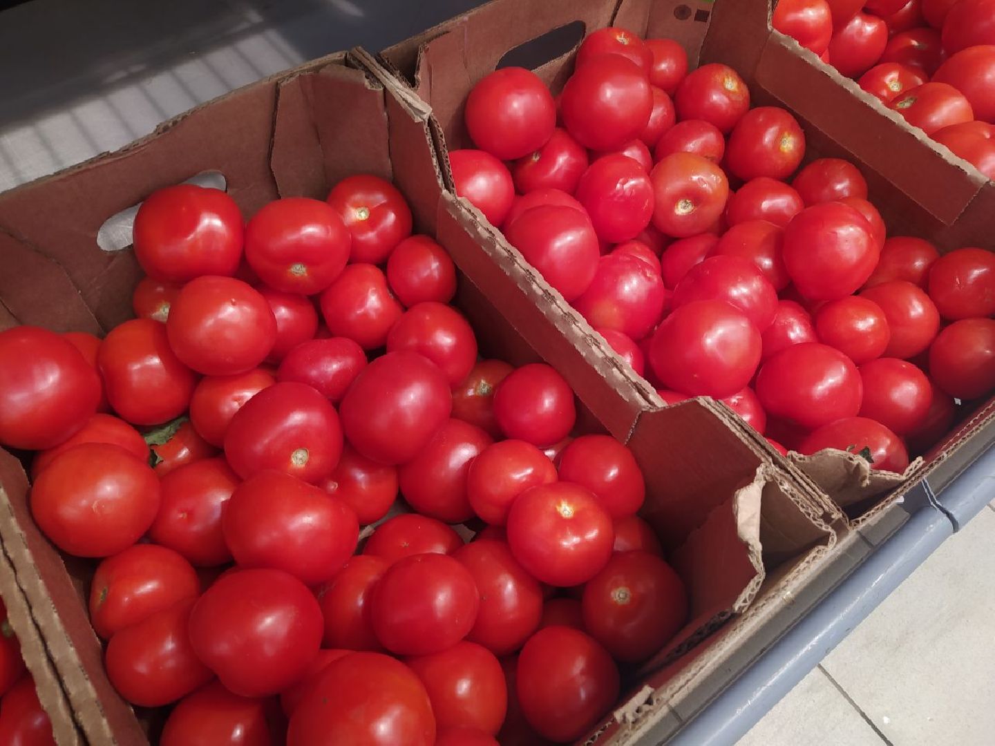 Дедовск, питание, диета, пляжи, отдых, шашлык