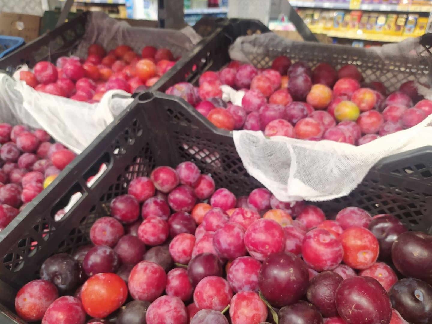 Дедовск, питание, диета, пляжи, отдых, шашлык