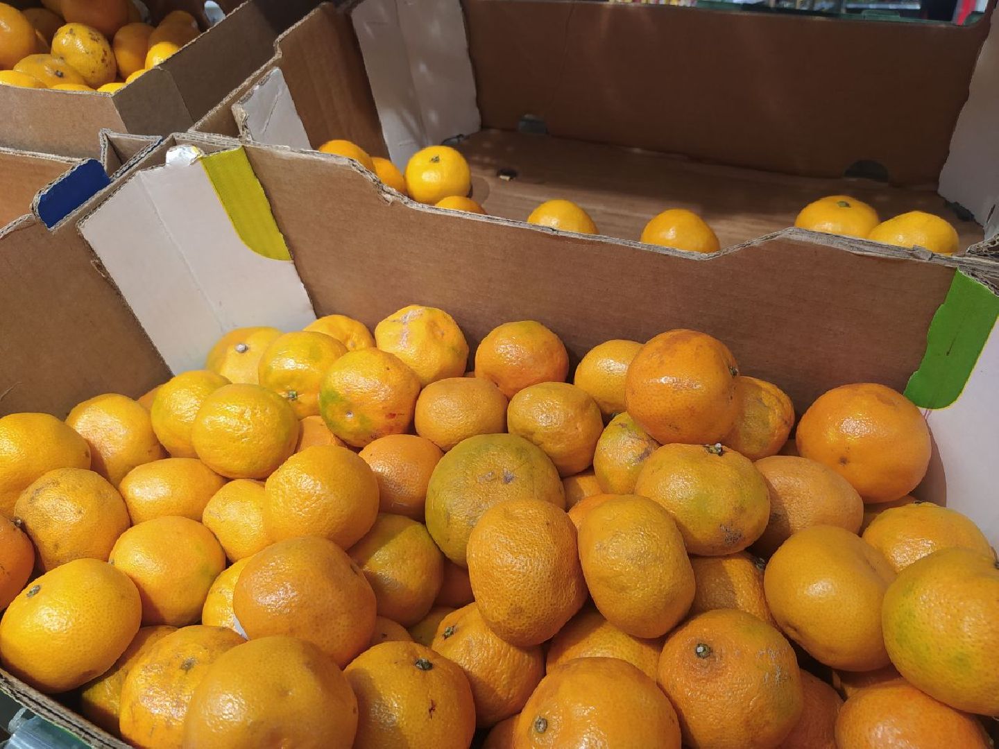 Дедовск, питание, диета, пляжи, отдых, шашлык