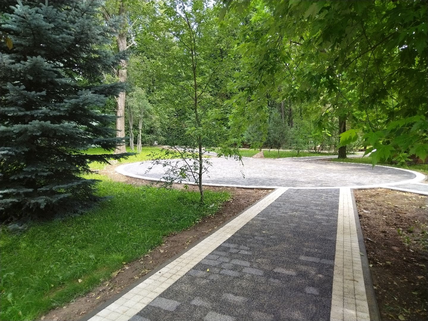 реконструкция парка, Мытищи, центральный парк, фонтан