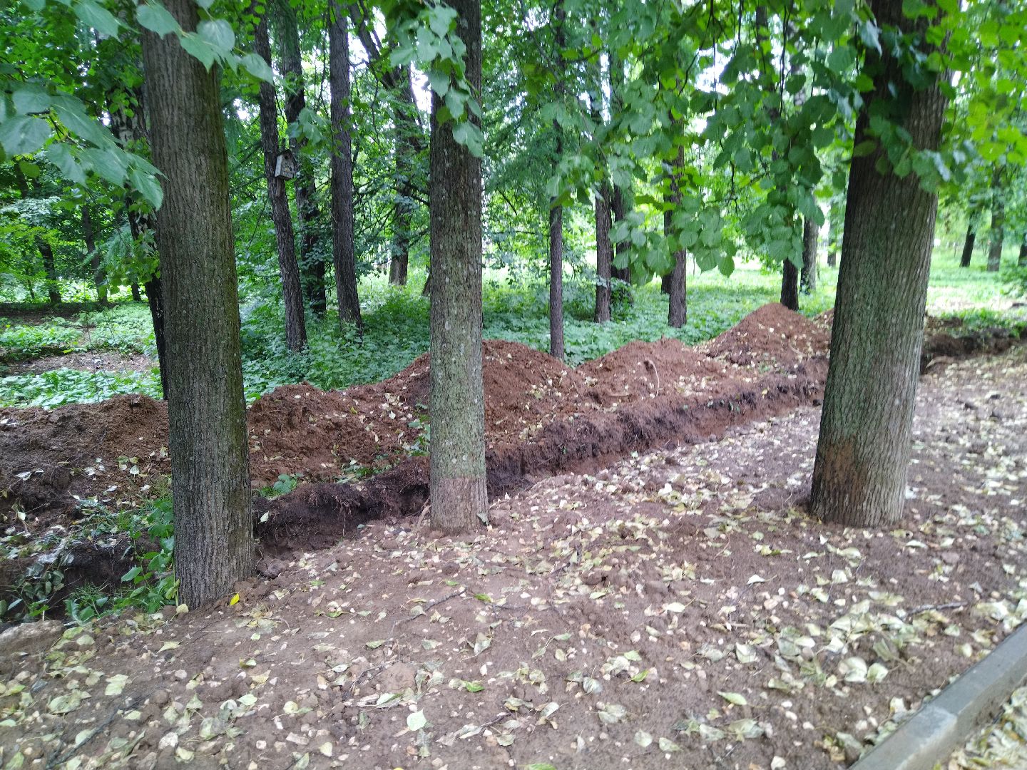 реконструкция парка, Мытищи, центральный парк, фонтан