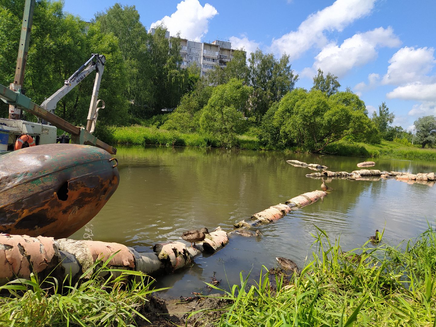 Нахабино, река, очистка, экология