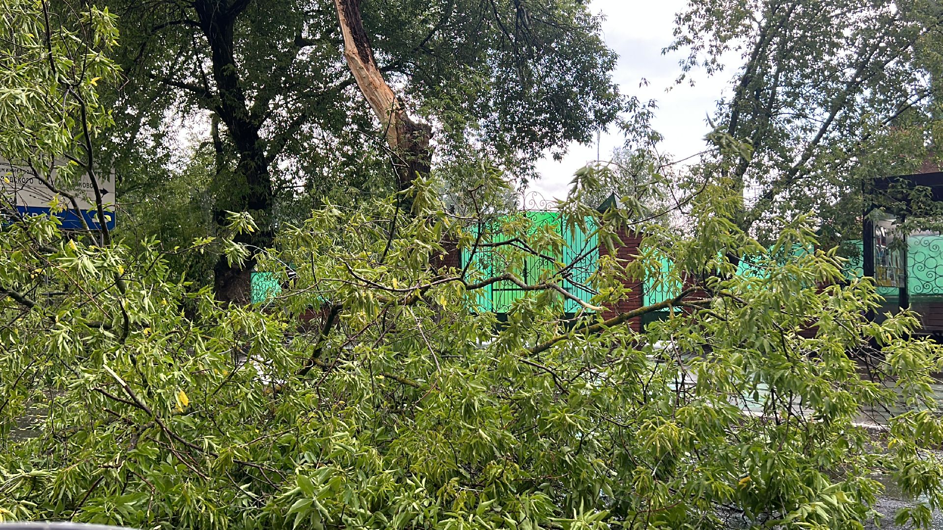 Происшествие, непогода, Фрязино