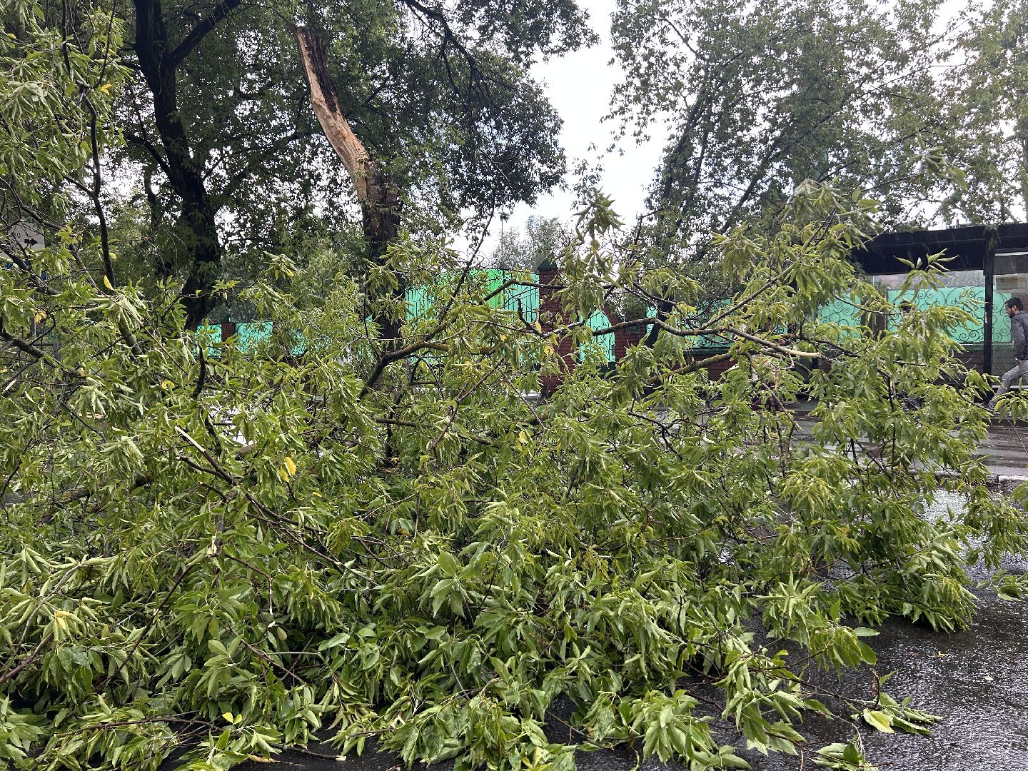 Происшествие, непогода, Фрязино