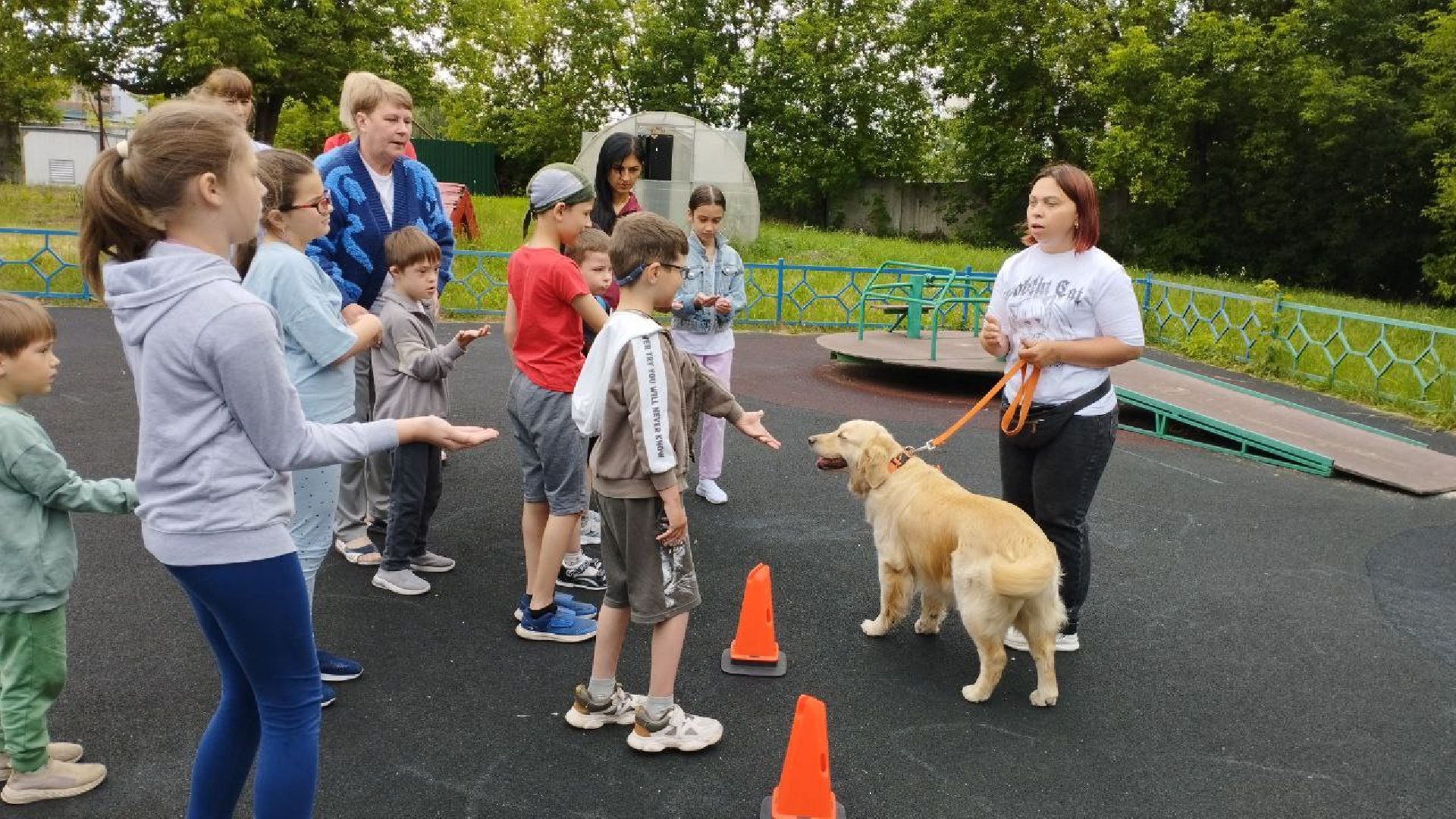 Подмосковье, Ивантеевка, общество