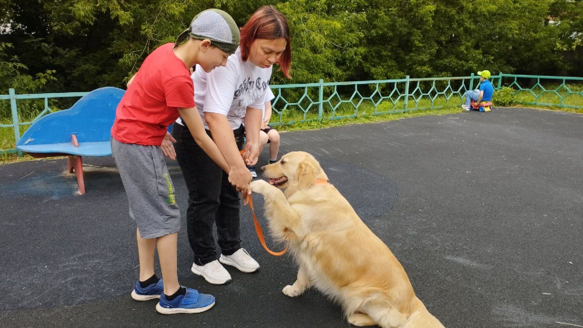 Подмосковье, Ивантеевка, общество