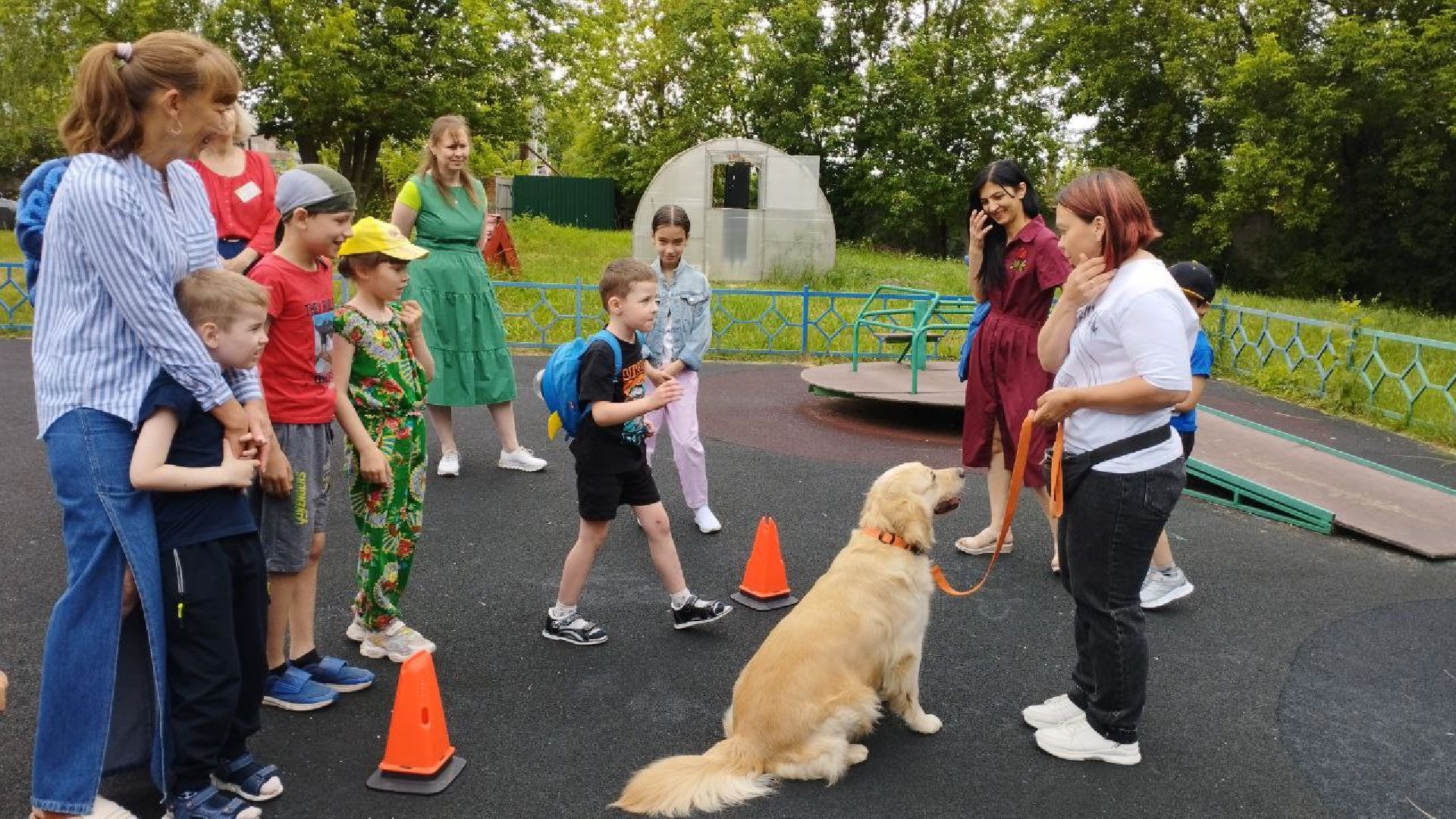 Подмосковье, Ивантеевка, общество
