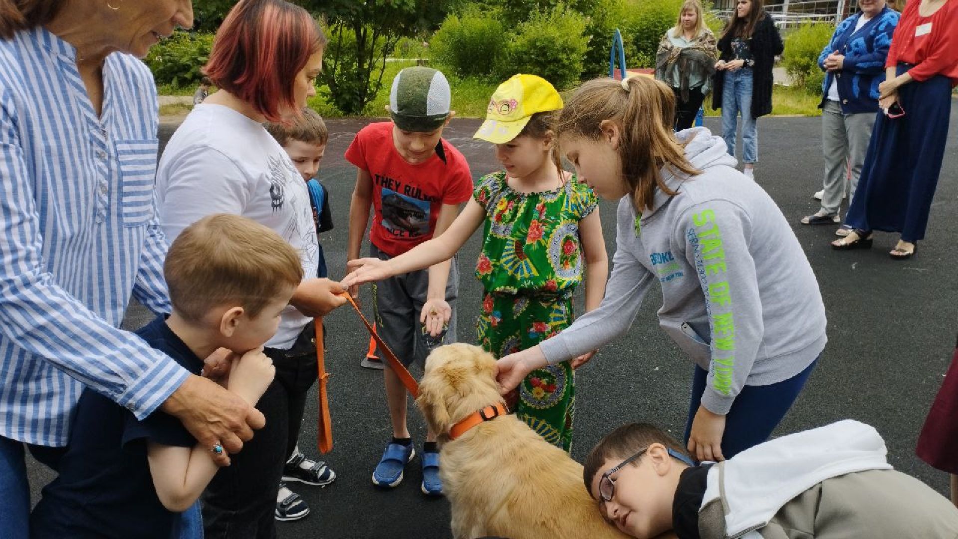 Подмосковье, Ивантеевка, общество