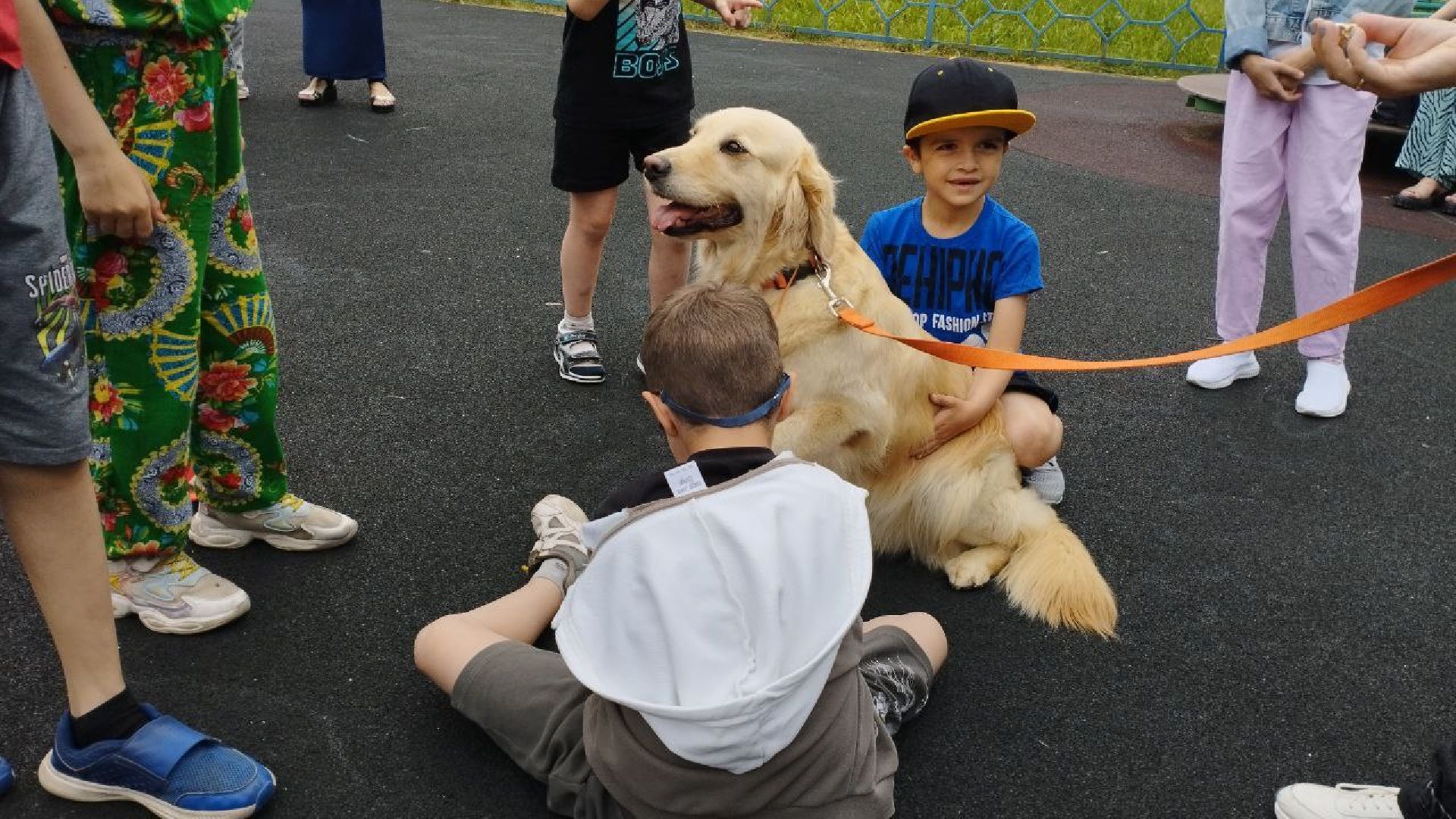 Подмосковье, Ивантеевка, общество