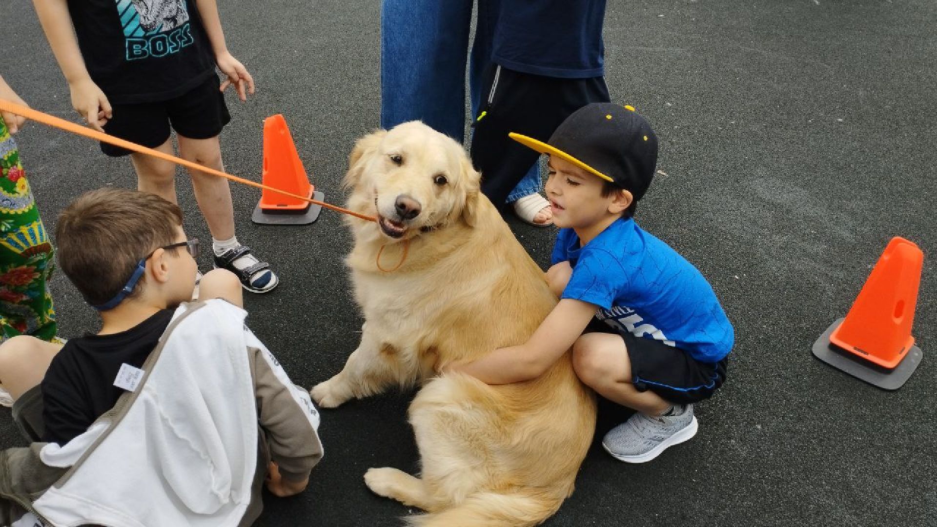 Подмосковье, Ивантеевка, общество