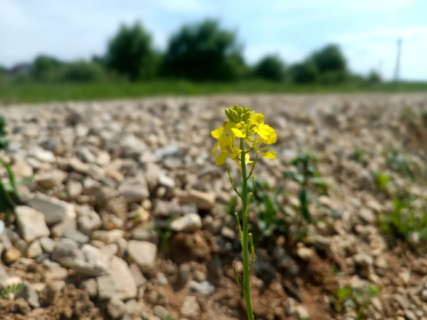 Можайск, Можайский городской округ, Подмосковье, многодетные семьи, дороги, участки, инфраструктура, строительство