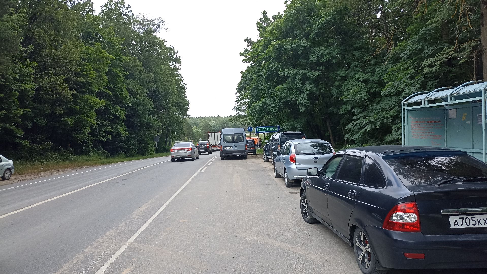 Серпухов, Подмосковье, волонтеры, трасса М-2, Симферопольское шоссе