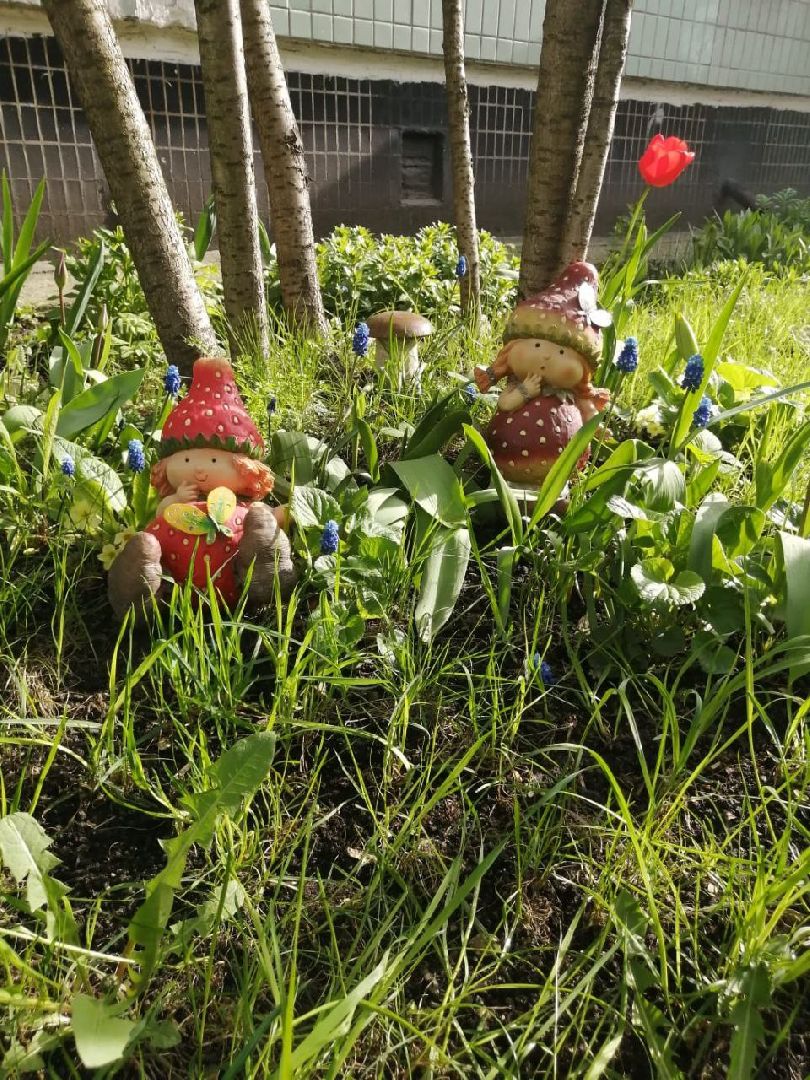 цветы; сад; видное; растения