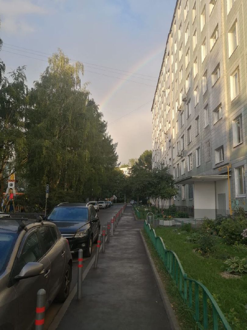 цветы; сад; видное; растения