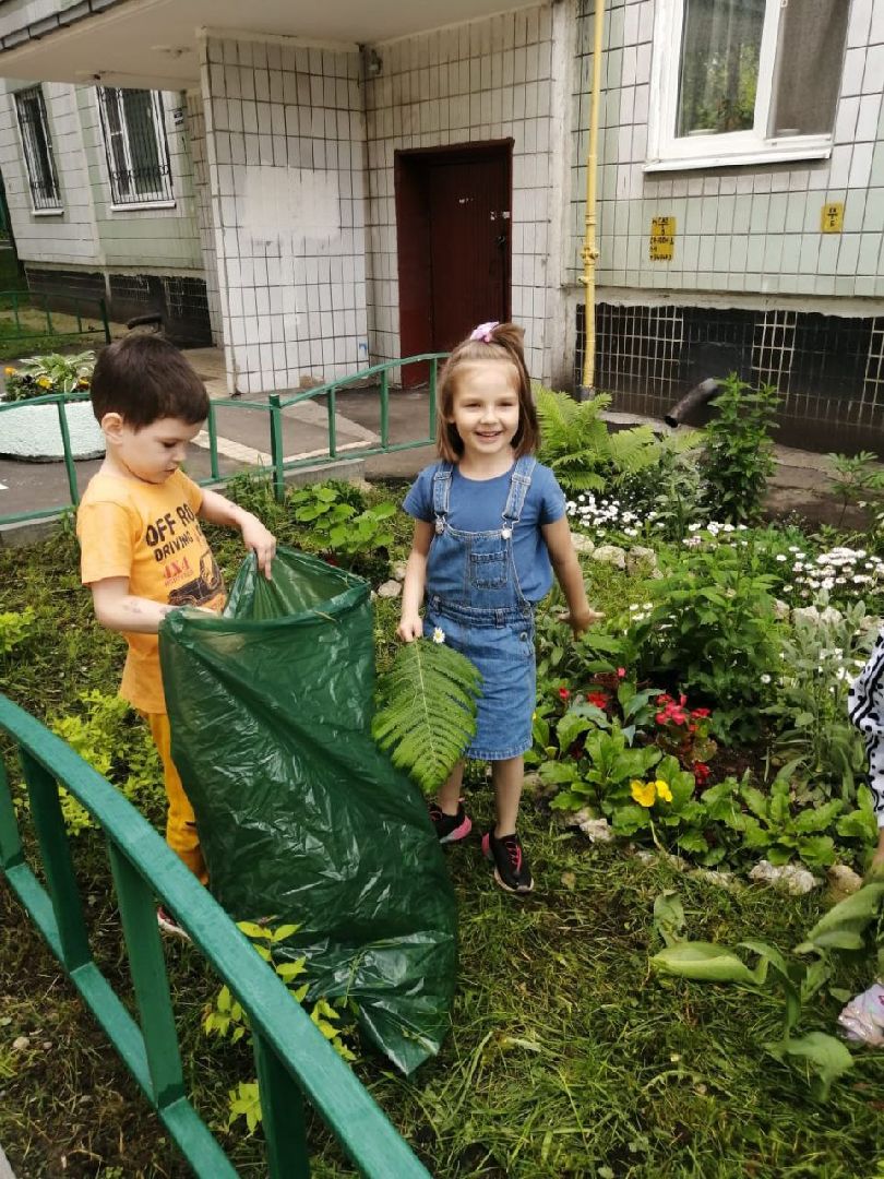 цветы; сад; видное; растения