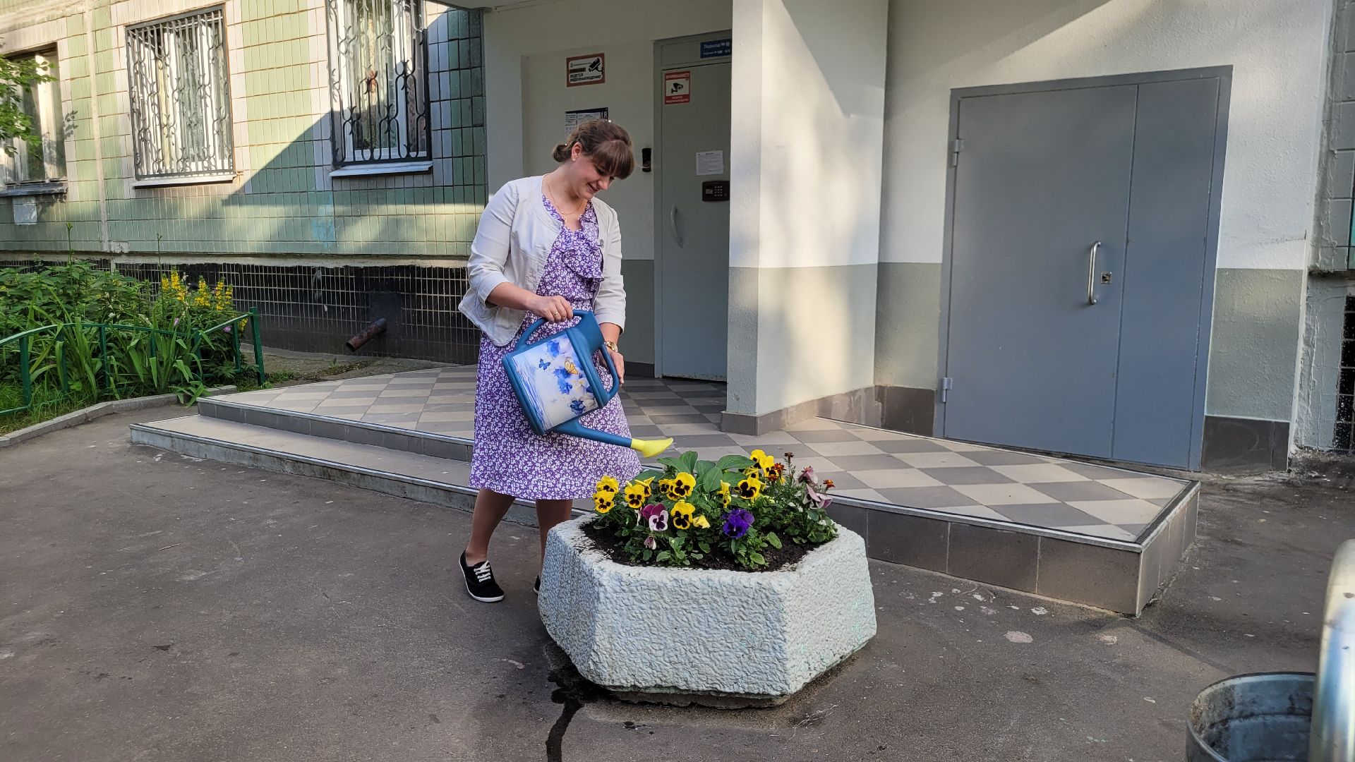 цветы; сад; видное; растения