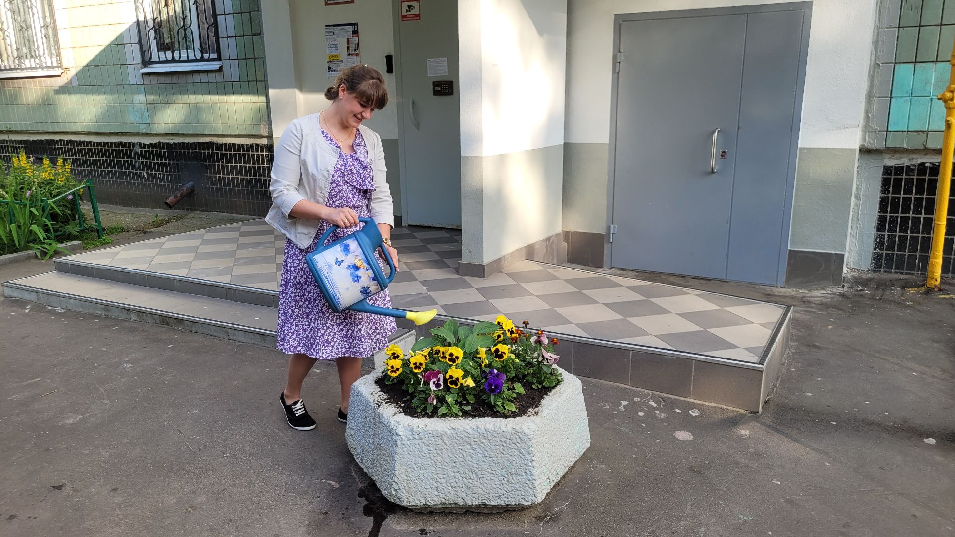 цветы; сад; видное; растения