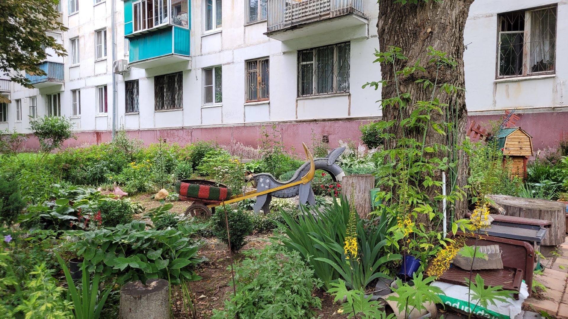 цветы; сад; видное; палисадник; искусство