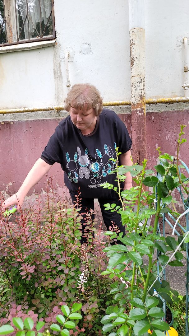 цветы; сад; видное; палисадник; искусство