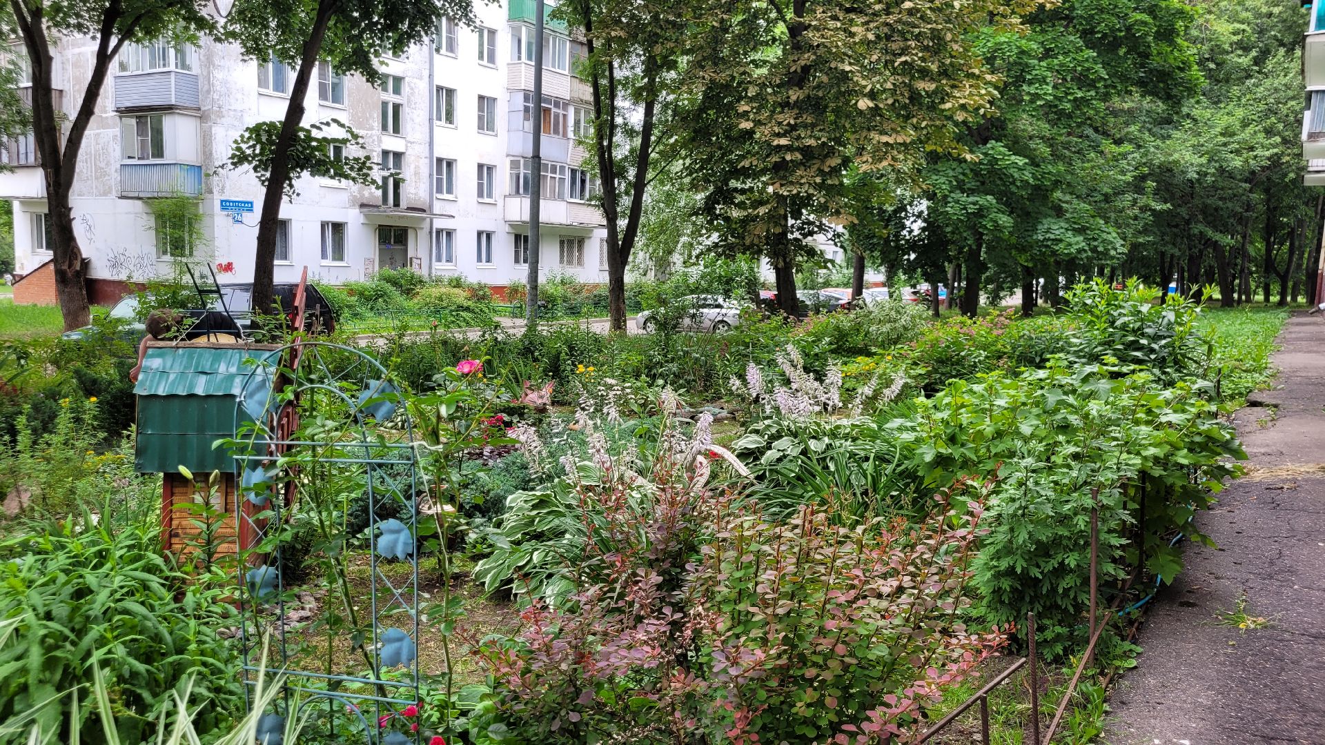 цветы; сад; видное; палисадник; искусство