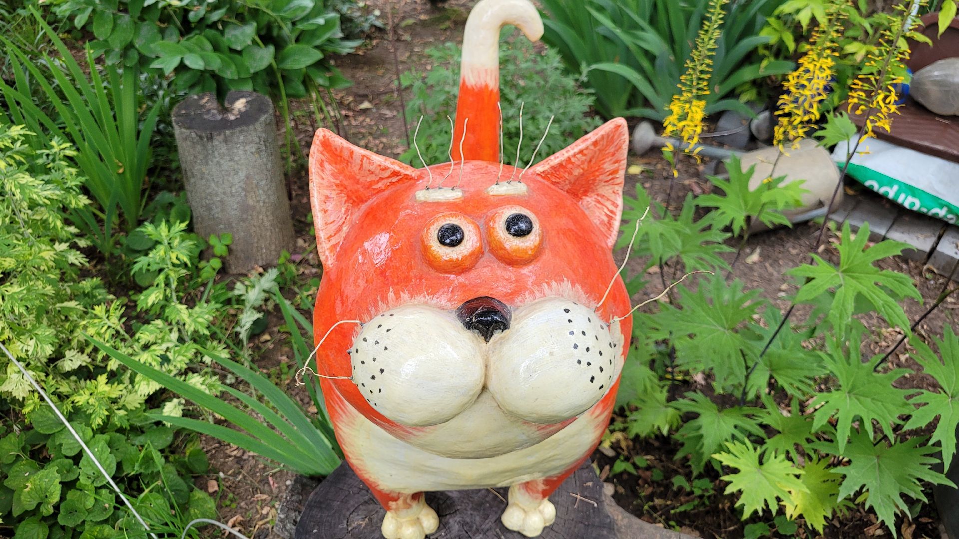 цветы; сад; видное; палисадник; искусство