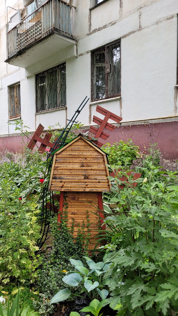 цветы; сад; видное; палисадник; искусство