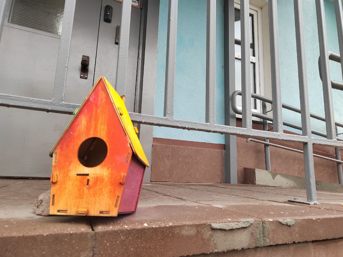 Пушкино, СВО, помощь, волонтеры, Пушкинский округ, Лесной