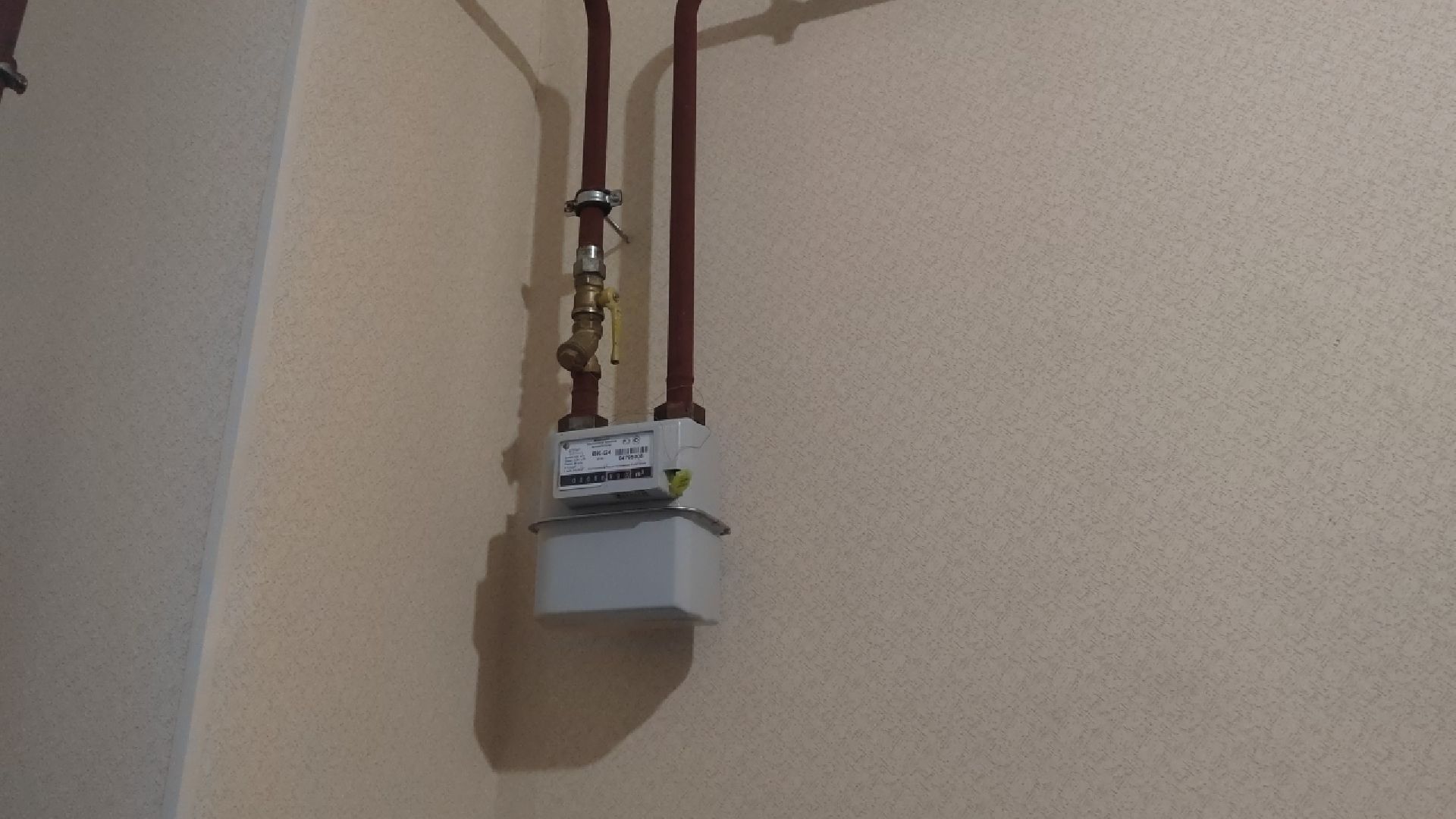 Пушкино, СВО, помощь, волонтеры, Пушкинский округ, Лесной