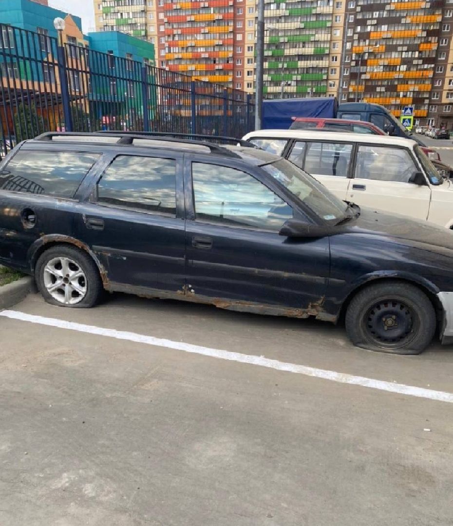 Мусор, двор, автомобиль, Добродел, жалоба