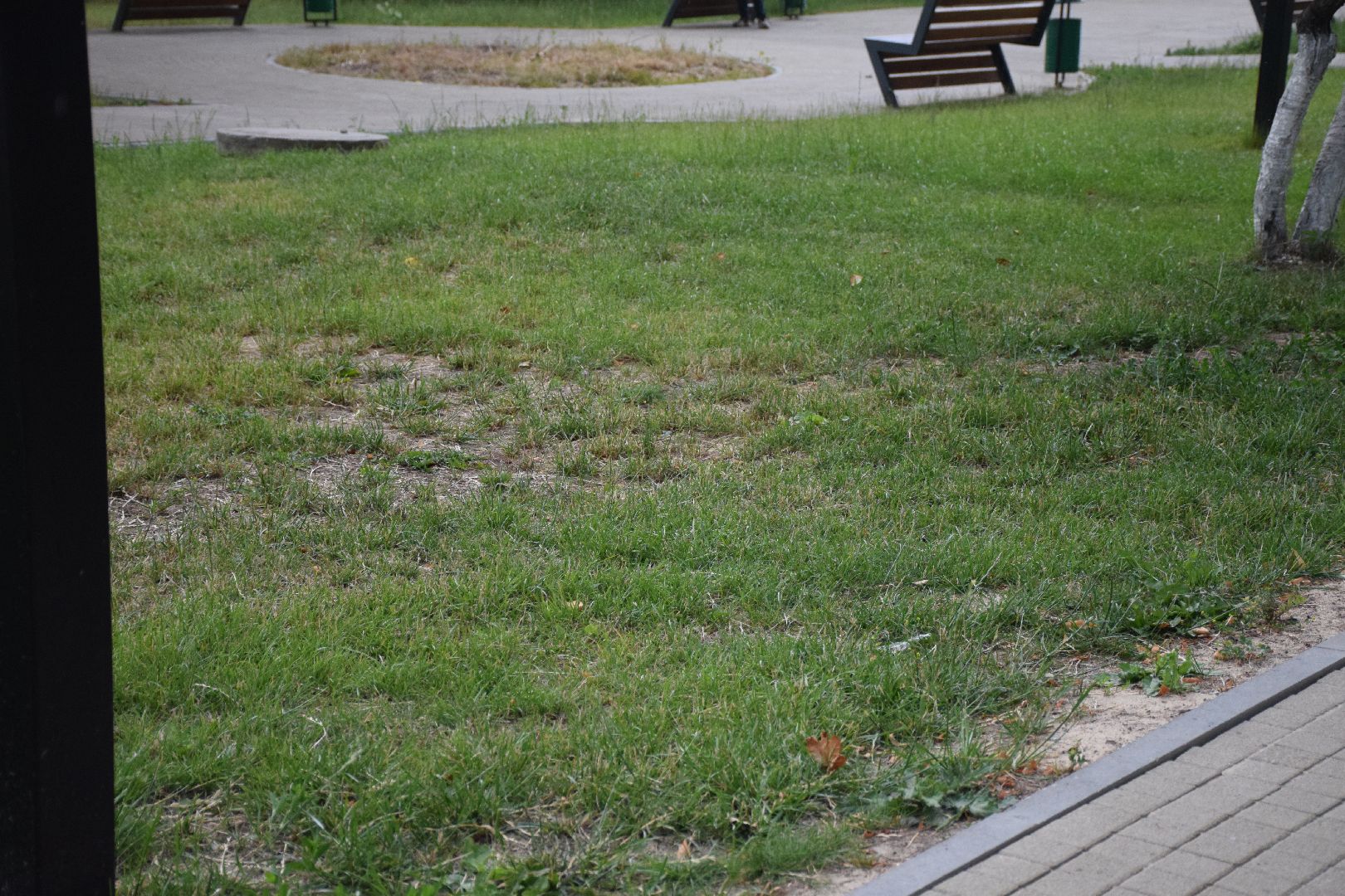 Павловский Посад, городской округ Павловский Посад, благоустройство, трава, покос, люди, город